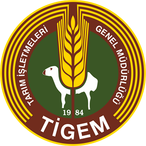 1555071161_tarim
